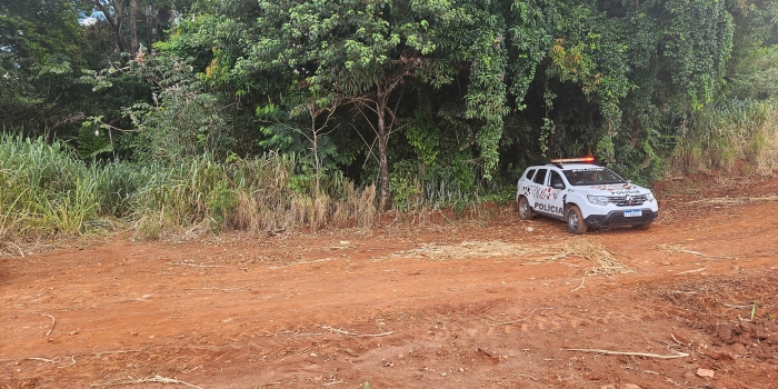 Foto de capa da notícia