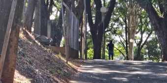 Imagem de capa da notícia