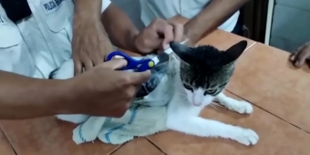 Imagem de capa da notícia