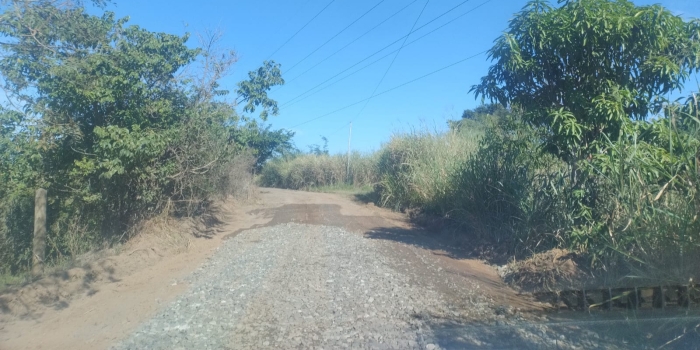 Foto de capa da notícia