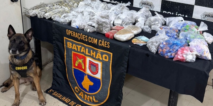 Foto de capa da notícia
