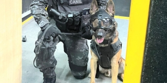Imagem de capa da notícia