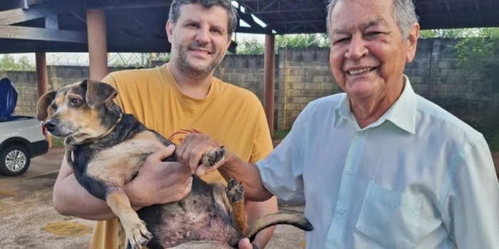 Foto de capa da notícia