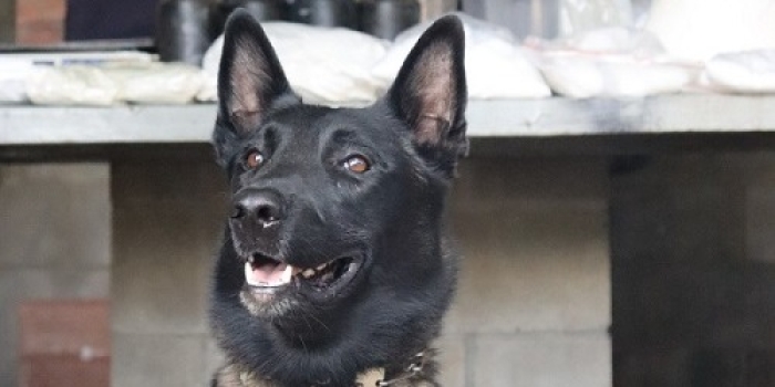 Foto de capa da notícia