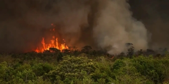 Imagem de capa da notícia