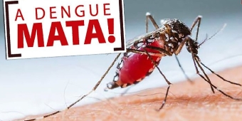 Imagem de capa da notícia