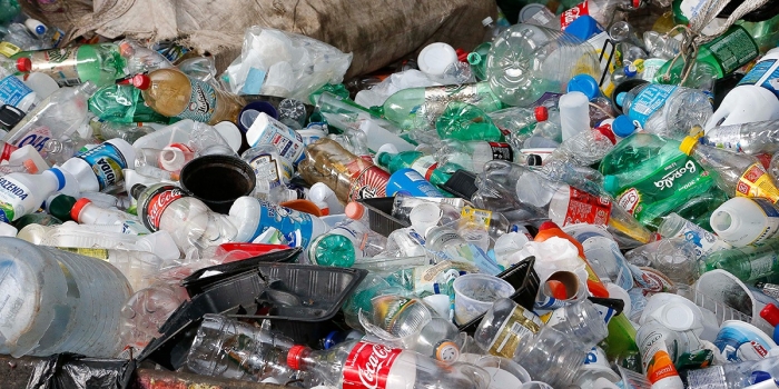 Foto de capa da notícia