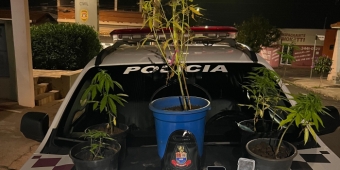 Imagem de capa da notícia