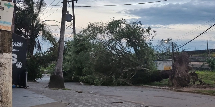 Foto de capa da notícia