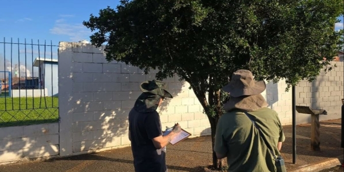 Foto de capa da notícia