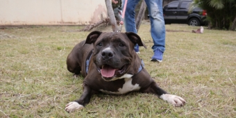 Imagem de capa da notícia