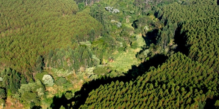 Foto de capa da notícia