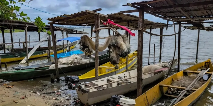 Foto de capa da notícia