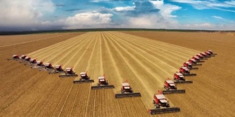 Imagem de capa da notícia