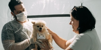 Imagem de capa da notícia