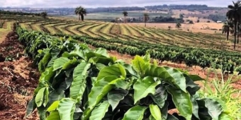 Imagem de capa da notícia