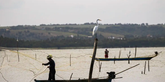 Foto de capa da notícia