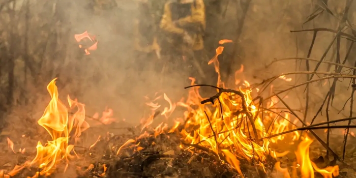 Foto de capa da notícia
