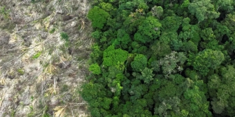 Imagem de capa da notícia