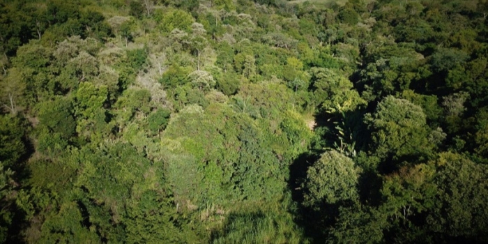 Foto de capa da notícia