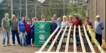 Imagem de capa da notícia