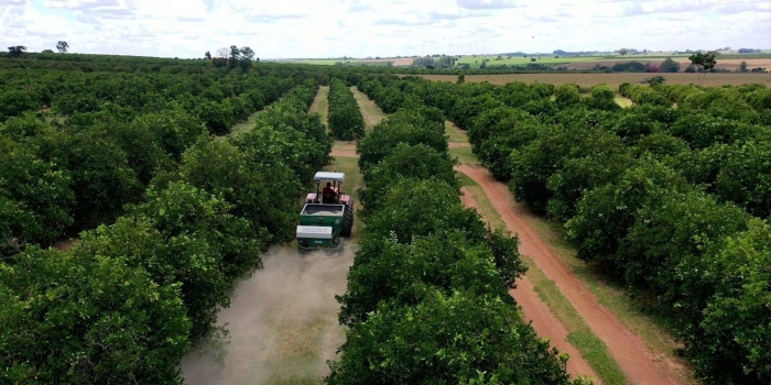 Foto de capa da notícia