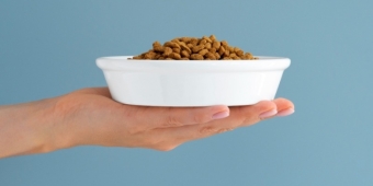 Imagem de capa da notícia