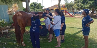 Imagem de capa da notícia