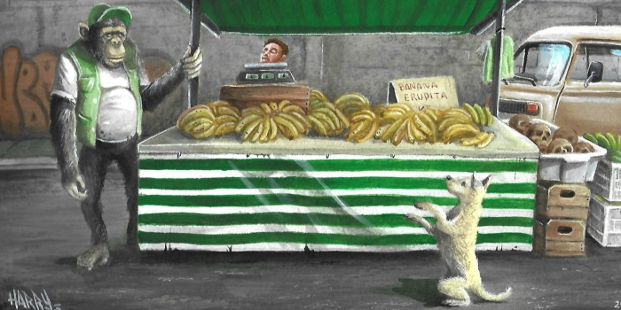 Foto de capa da notícia