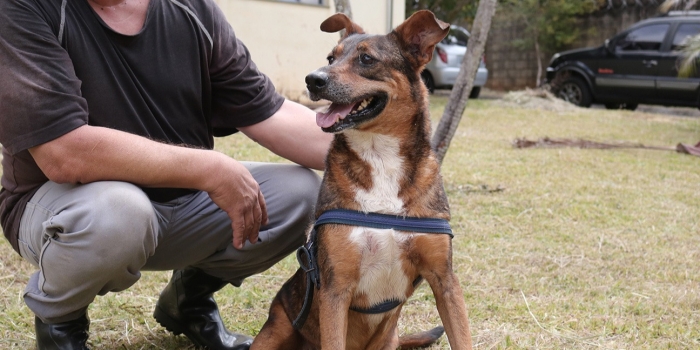 Foto de capa da notícia