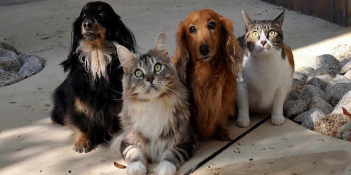 Foto de capa da notícia