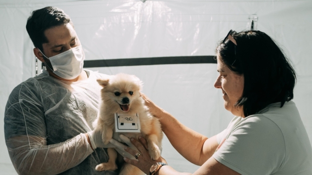 Foto de capa da notícia