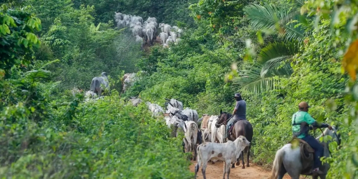 Foto de capa da notícia