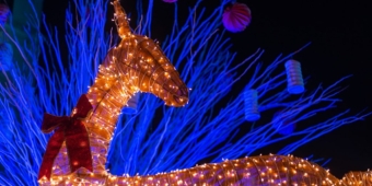 Imagem de capa da notícia