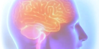 Imagem de capa da notícia