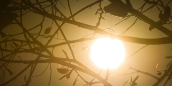 Imagem de capa da notícia