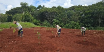 Imagem de capa da notícia