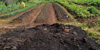 Imagem de capa da notícia