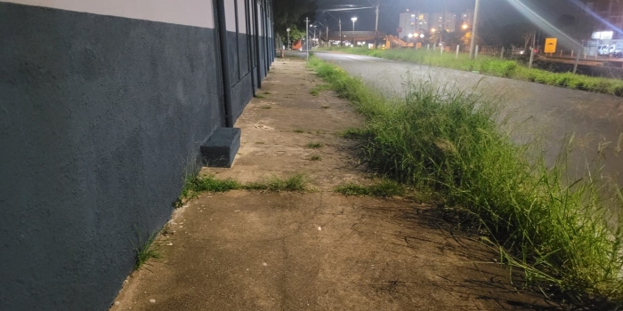 Foto de capa da notícia