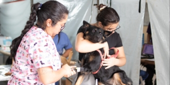 Imagem de capa da notícia