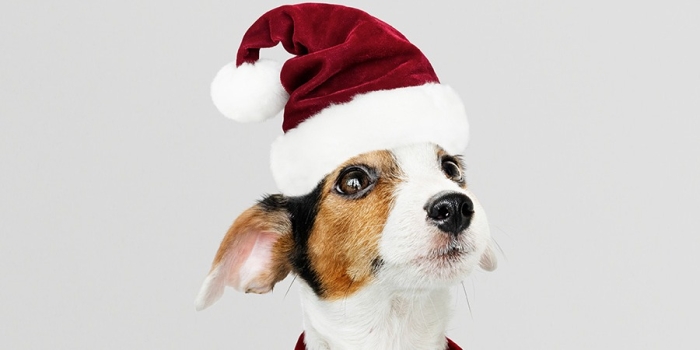 Foto de capa da notícia