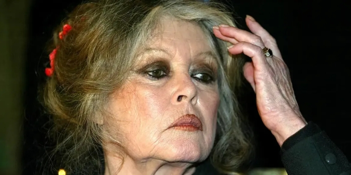 Foto de capa da notícia