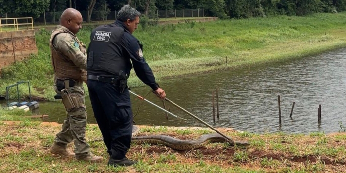 Foto de capa da notícia