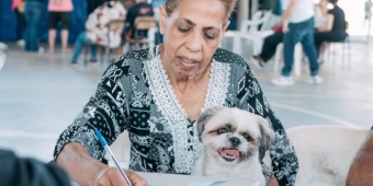 Imagem de capa da notícia