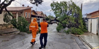 Imagem de capa da notícia