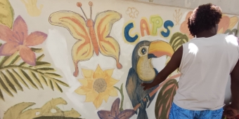 Imagem de capa da notícia