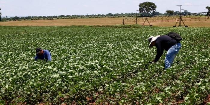 Foto de capa da notícia