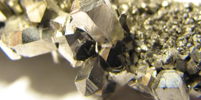 Foto de capa da notícia