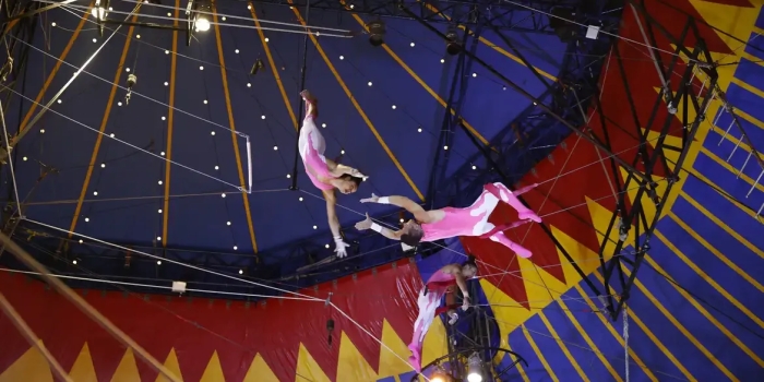 Foto de capa da notícia