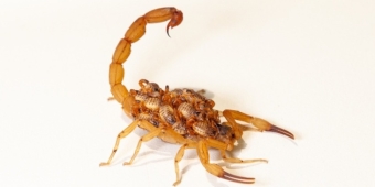 Imagem de capa da notícia